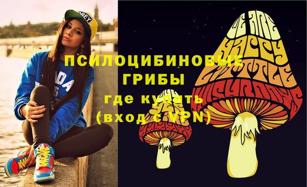 мяу мяу кристалл Иннополис